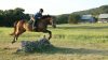 Hill Country Equestrian Lodge | Texas Horseback Riding Vacations